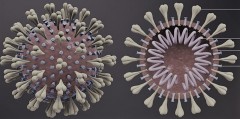Working Together to Tackle Coronavirus Disease (COVID-19)