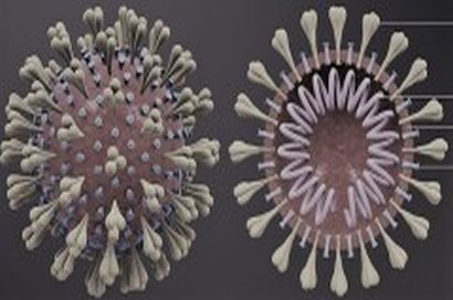 Working Together to Tackle Coronavirus Disease (COVID-19)