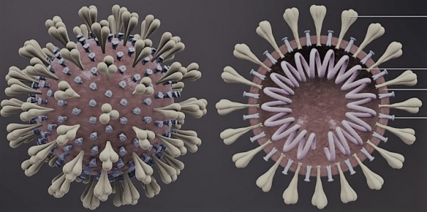 Working Together to Tackle Coronavirus Disease (COVID-19)